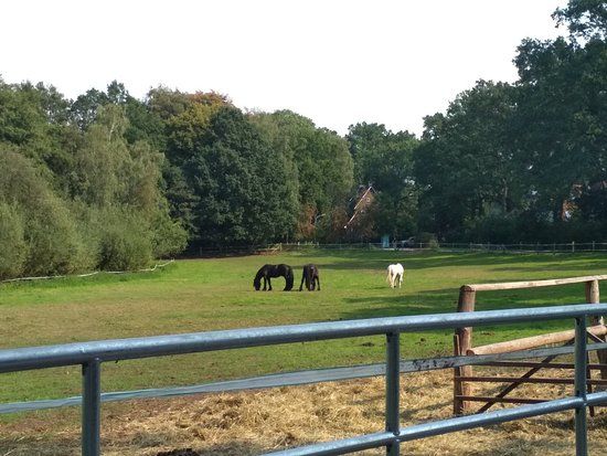 Museumsdorf Volksdorf